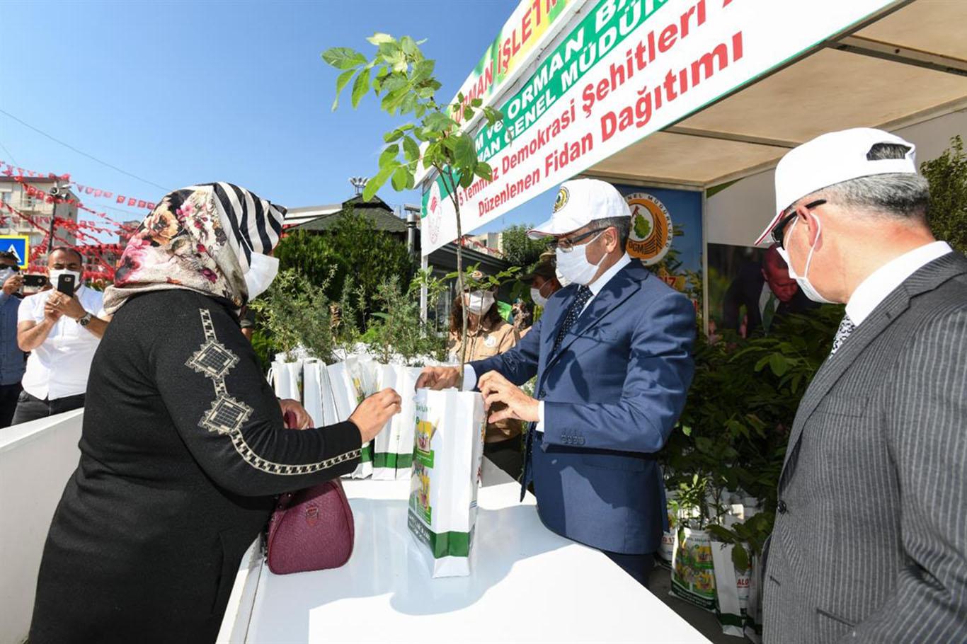 Vali Bilmez, 15 Temmuz anısına vatandaşlara fidan dağıttı
